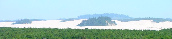 Sand dunes as viewed from ocean beach